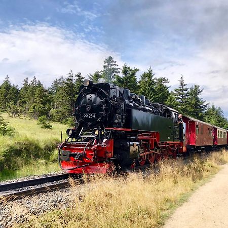 Fewo Fuchsbau Mit Dampfdusche #Kamin#Innenstadtnaehe#Netflix Von Harztraveler Bad Harzburg Exteriör bild