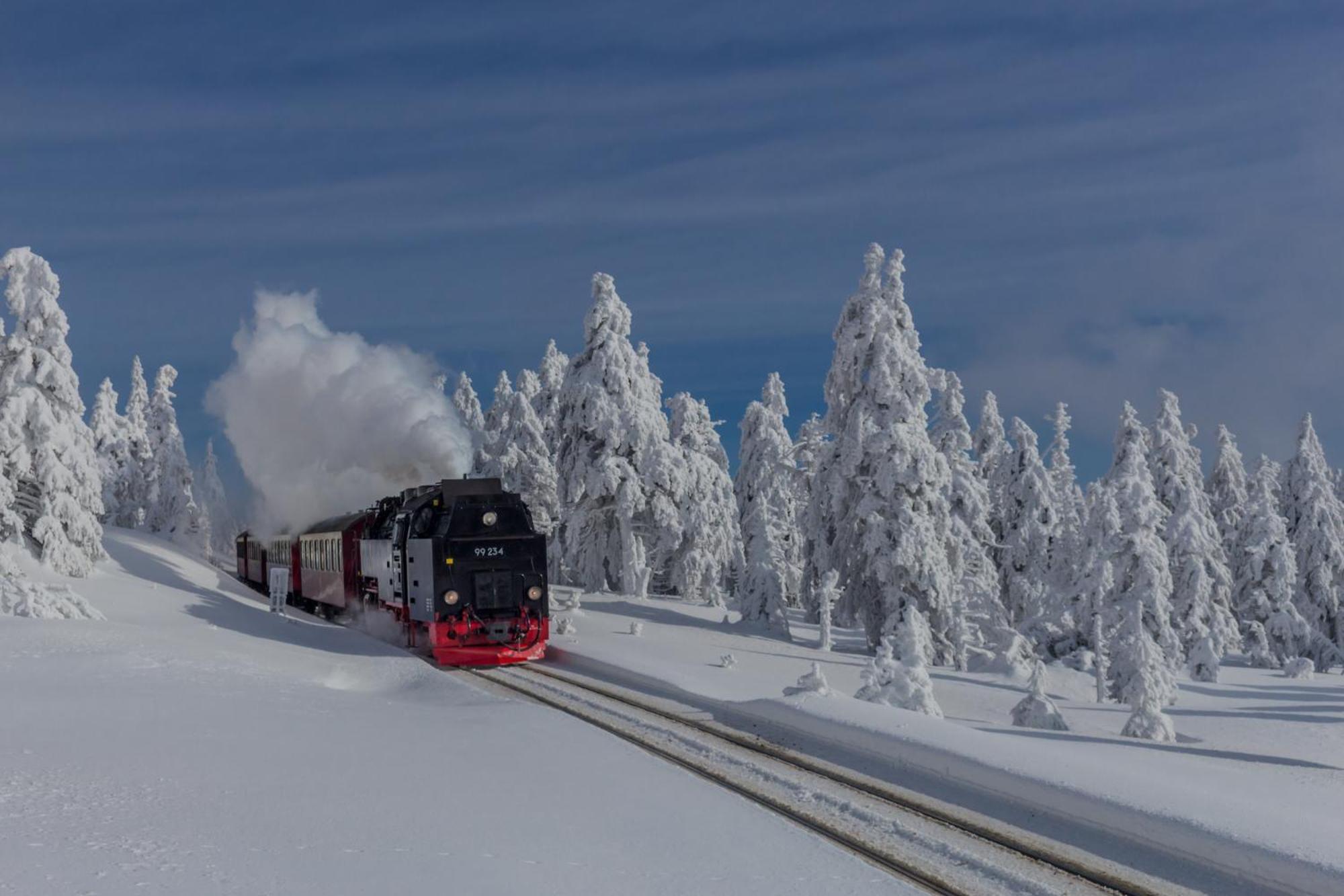 Fewo Fuchsbau Mit Dampfdusche #Kamin#Innenstadtnaehe#Netflix Von Harztraveler Bad Harzburg Exteriör bild